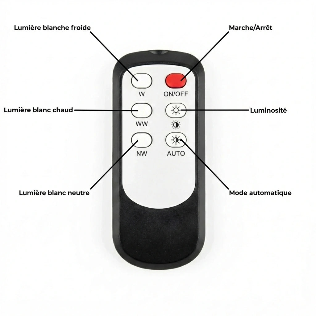 Lumière Ambiance Murale