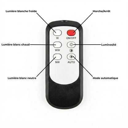 Lumière Ambiance Murale